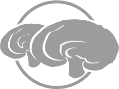 Ganoderma Lucidum